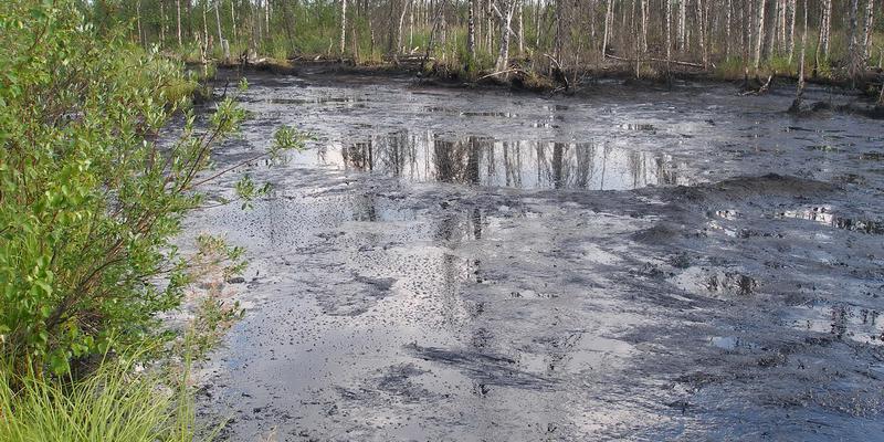 ООО «ЛУКОЙЛ-Коми» ТПП «Лукойл-Усинскнефтегаз»